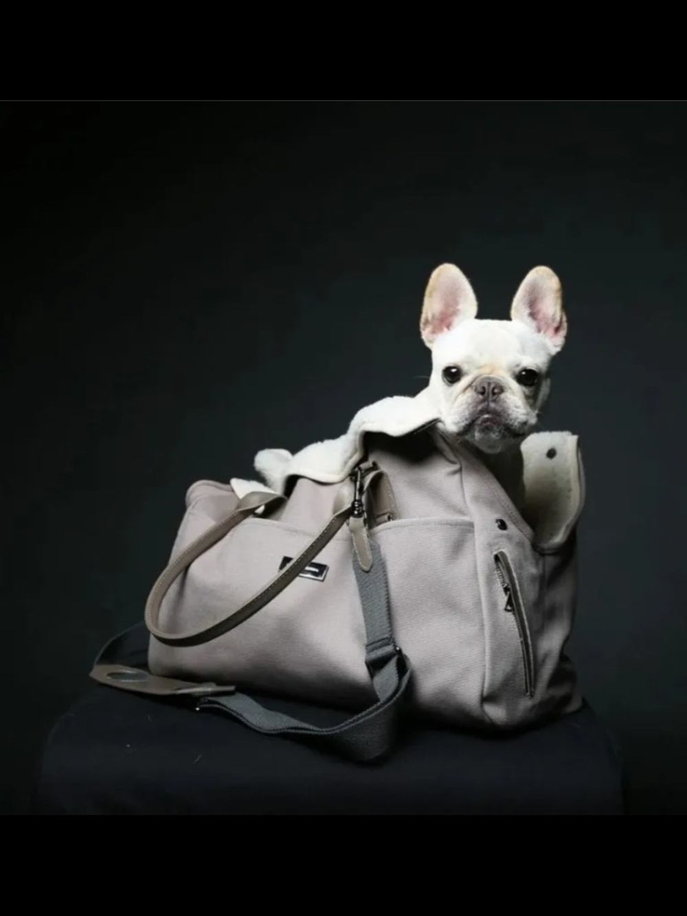 Max Bone City Carrier Tote with Removable Strap